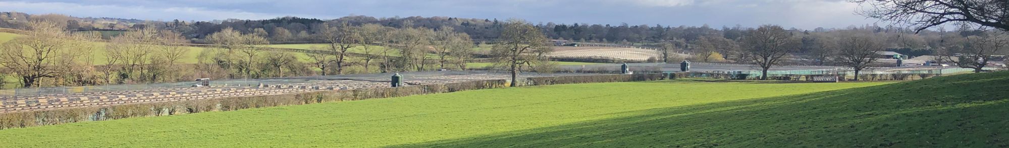 Heart of England Farms - Breeders of Quality Game Stock